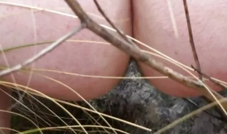Een zwarte man zette kanker op hangborsten porn een meisje en neukte haar.