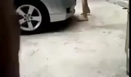 Strapon motherfucker. gratissex kijken