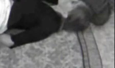 Zwarte kerel gratis lange porno films likt kont en neukt roodharig.