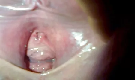 Een klap nederlandstalige sex video op je kont.
